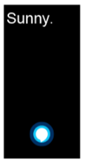 alexa8Png